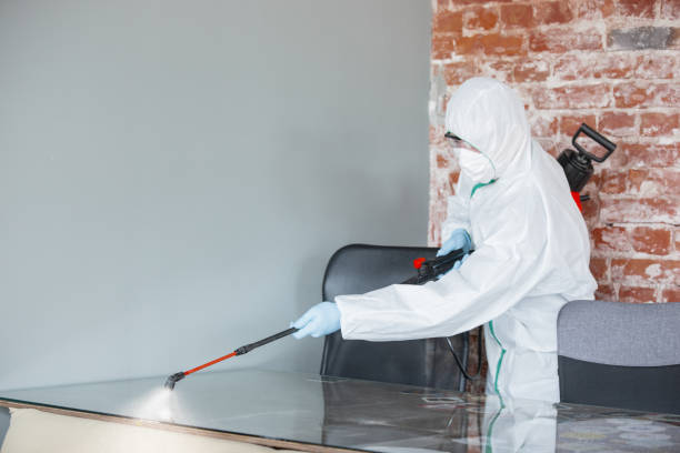 Mold Documentation for Insurance Claims in Denton, TX